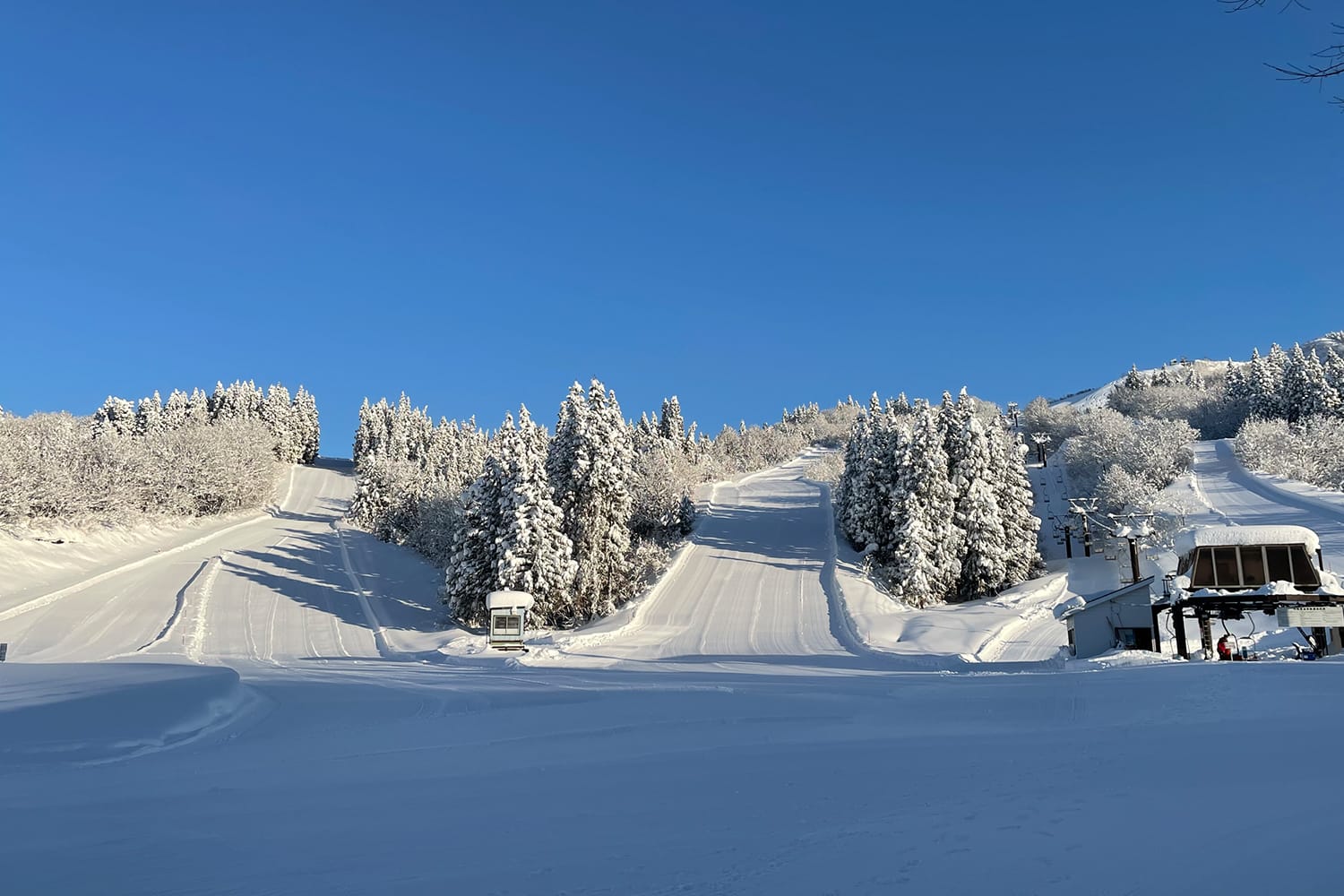 八海山麓スキー場 イメージ